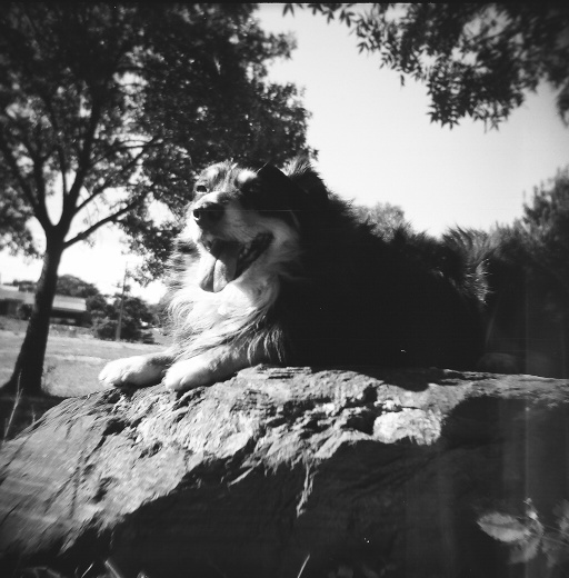image09