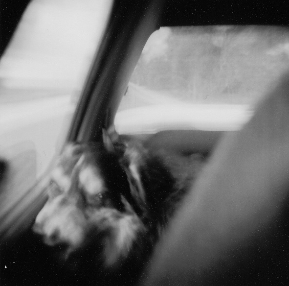 image03
