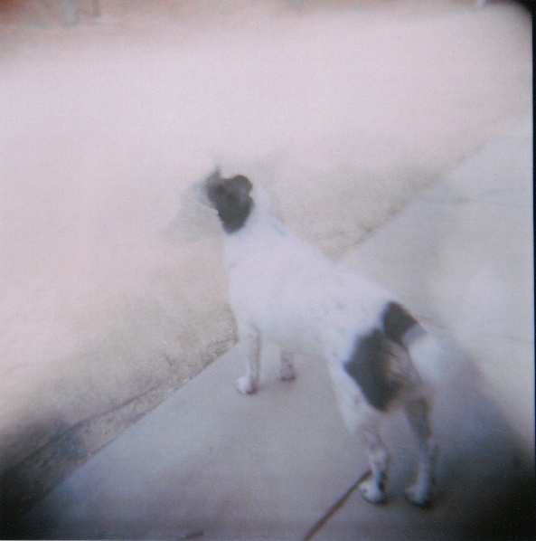 image07