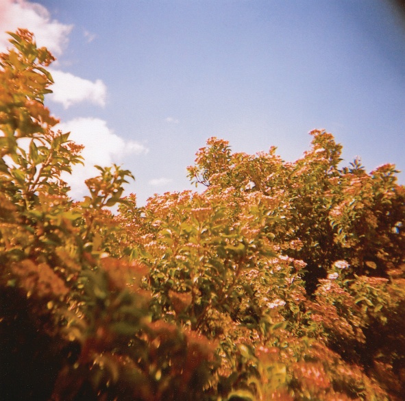 image09
