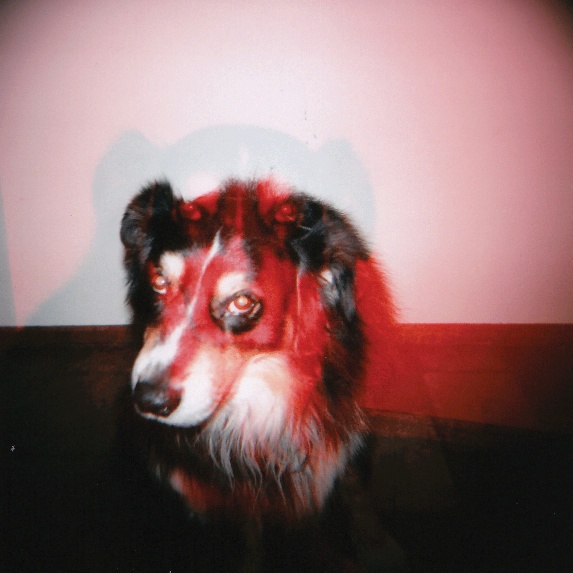 image05