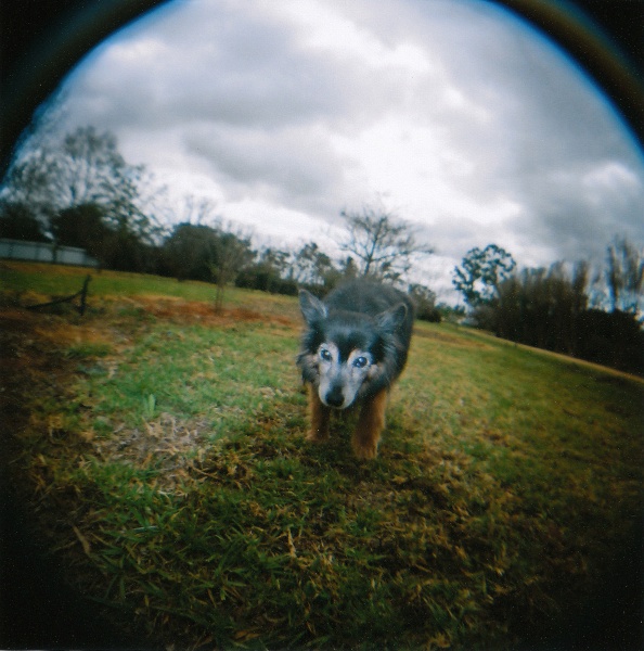 image11