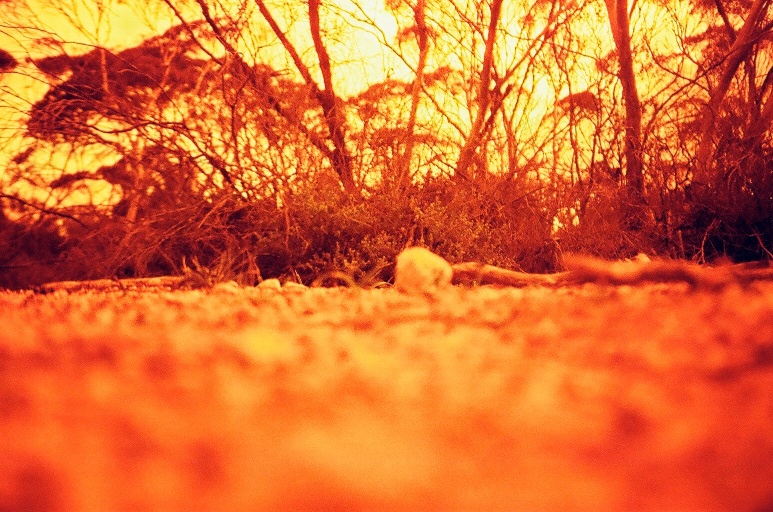 image07