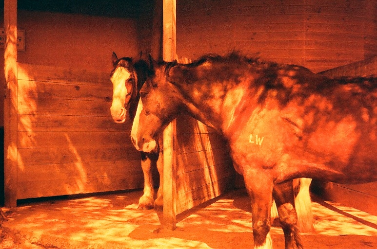 image03
