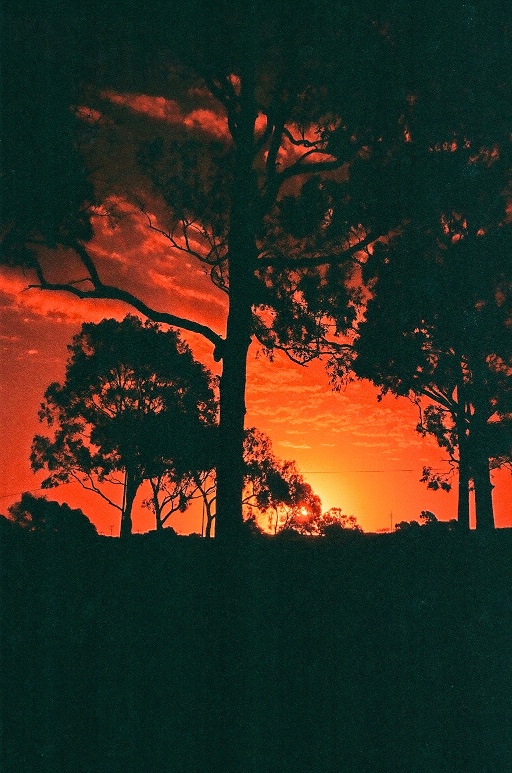 image01