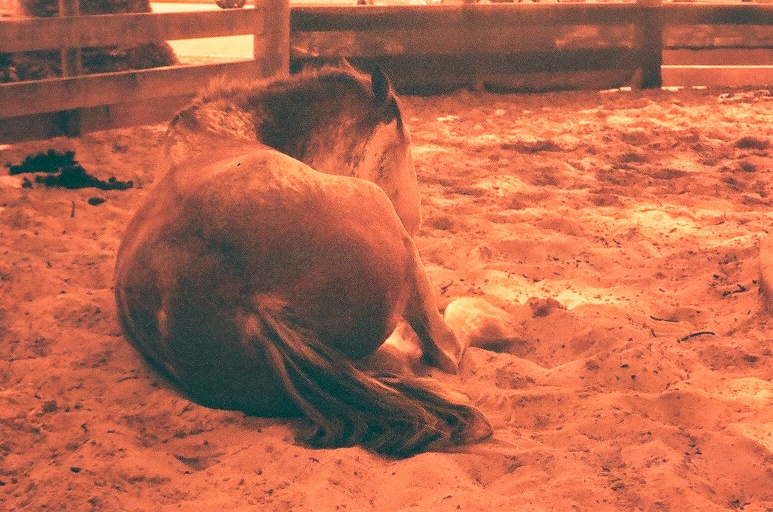 image04