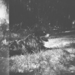 image11