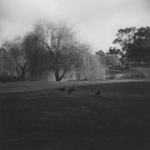 image02