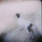 image07