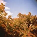 image10