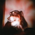 image01
