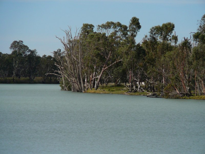 image10