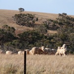 image02