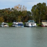 image11