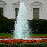 image04